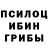 Галлюциногенные грибы мицелий Mr arbuzic