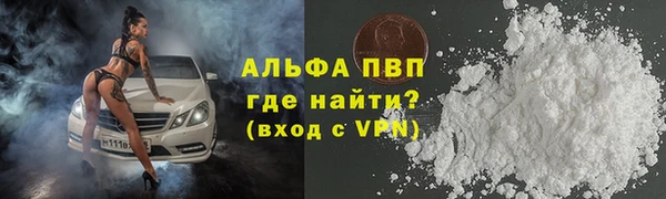 spice Новодвинск