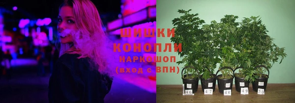 spice Новодвинск
