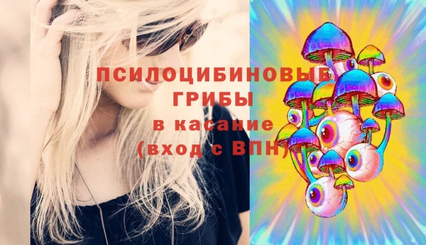 марки nbome Новозыбков