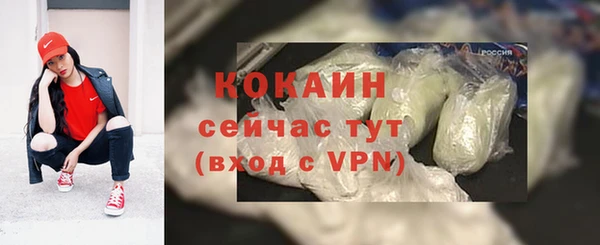 индика Новокубанск