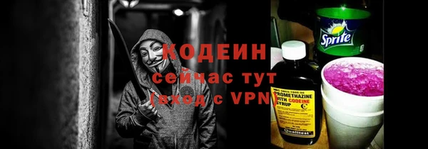 индика Новокубанск
