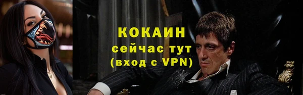 spice Новодвинск