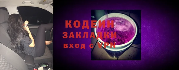 индика Новокубанск