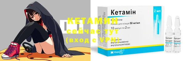 индика Новокубанск
