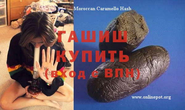 spice Новодвинск