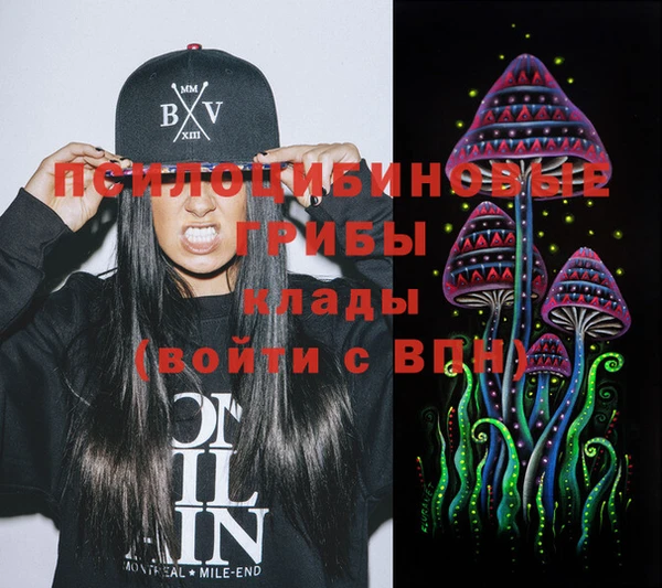 марки nbome Новозыбков