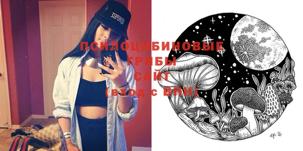 индика Новокубанск