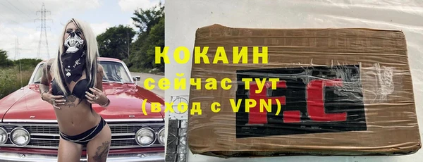 индика Новокубанск