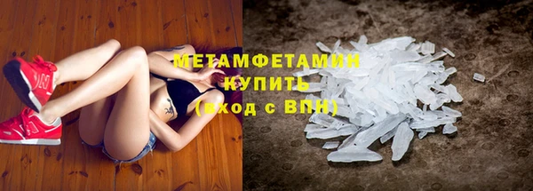 индика Новокубанск
