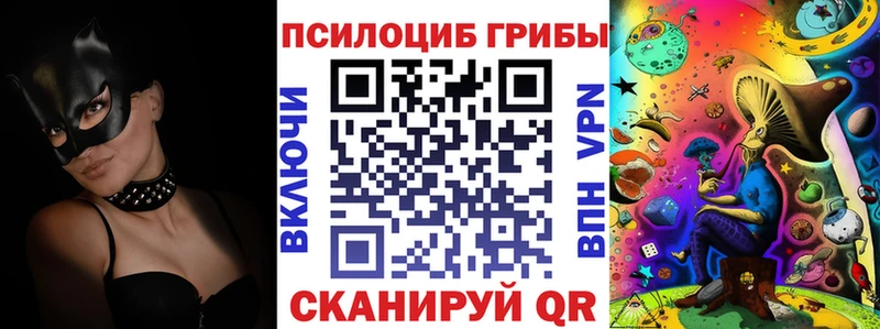 даркнет состав  Уржум  Галлюциногенные грибы Psilocybe 